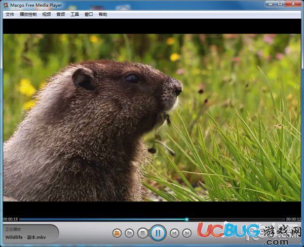 Macgo Free Media Player(視頻播放器)