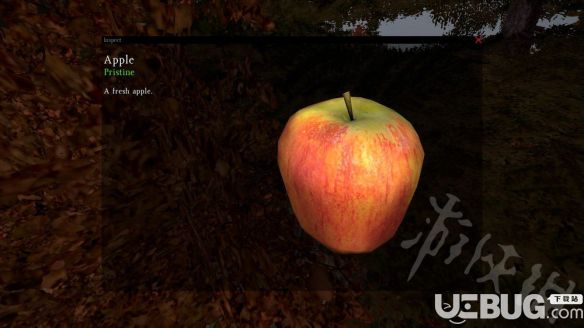 《DayZ》食物品質(zhì)有什么區(qū)別