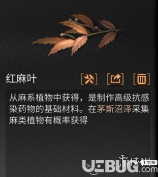 《明日之后手游》紅麻葉怎么獲得