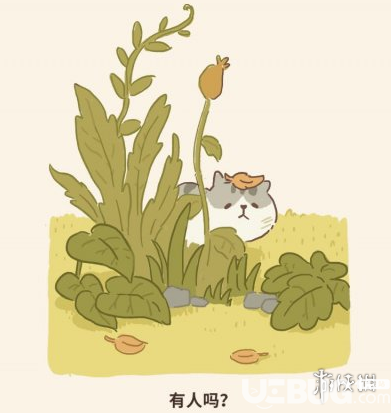 《微信動(dòng)物餐廳手游》猞猁來訪條件是什么