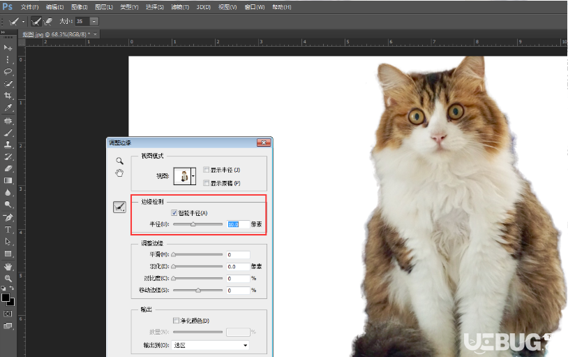 怎么利用Photoshop軟件調(diào)整邊緣工具進(jìn)行摳圖