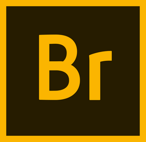 Adobe Bridge 2022v12.0.0.234中文免費(fèi)版