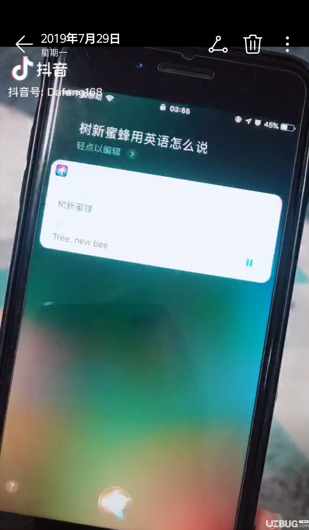 抖音上樹新蜜蜂是什么梗 樹新蜜蜂用英語怎么說