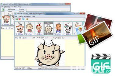 Vibosoft Animated GIF Maker(GIF制作軟件)v3.0.19免費版【3】