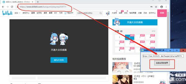 嗶哩嗶哩會員內(nèi)容試看工具v1.0綠色版【3】