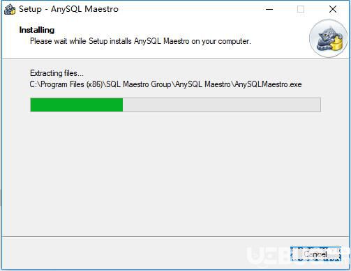 AnySQL Maestro Pro破解版