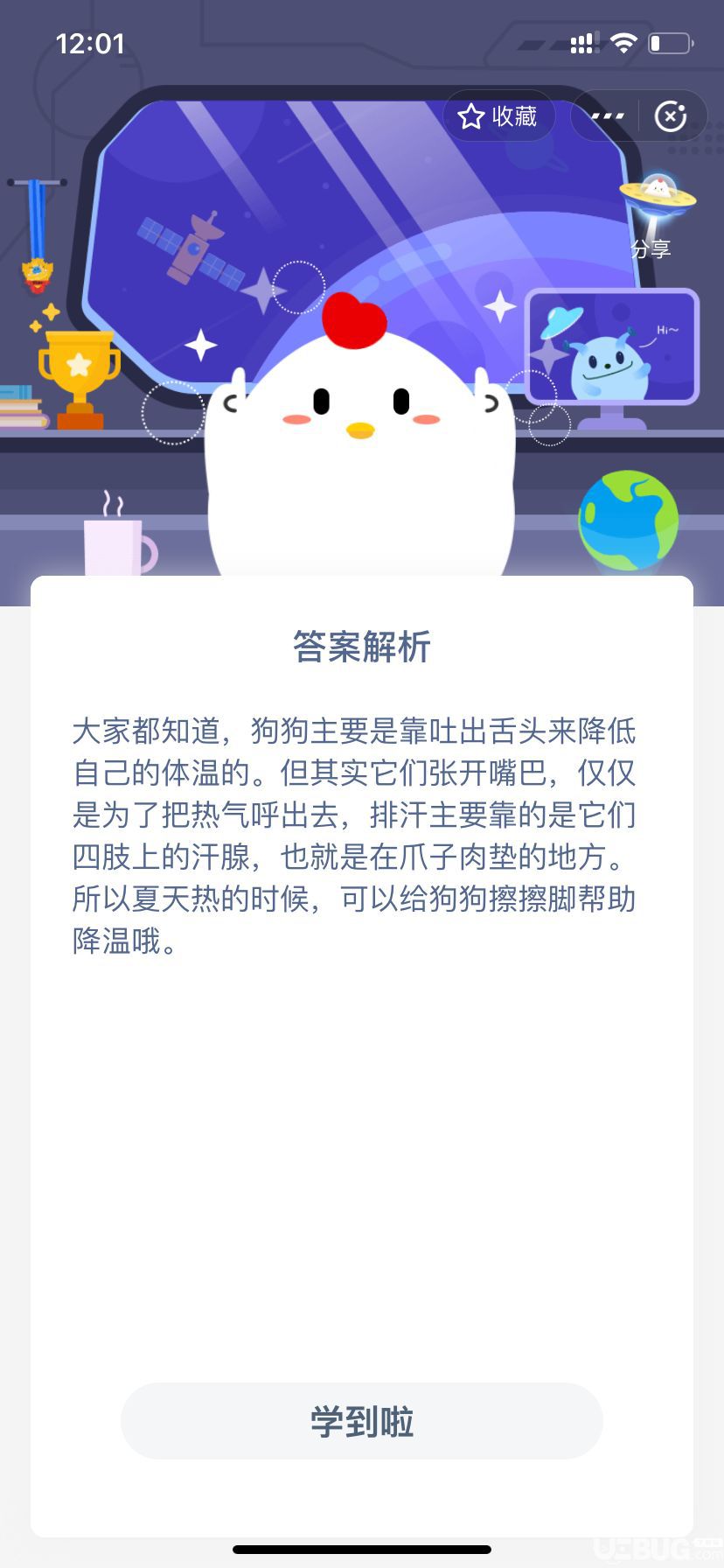 支付寶螞蟻莊園小雞寶寶考考你，狗狗爪子的肉墊，除了行走時有防滑的作用外，還能用來？