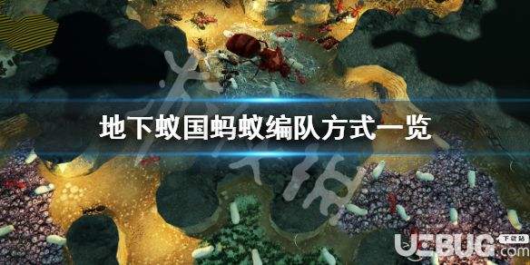 《地下蟻國》游戲中怎么控制螞蟻編隊