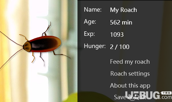 Virtual Cockroach(桌面蟑螂寵物)v1.9免費(fèi)版【2】