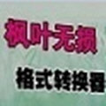 楓葉無損音頻格式轉(zhuǎn)換器v1.0.0.0免費版