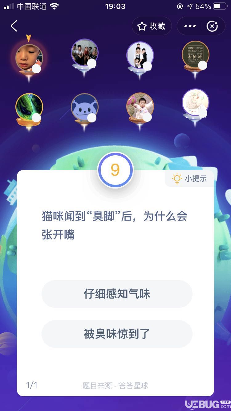 支付寶螞蟻莊園小課堂貓咪聞到“臭腳”后，為什么會張開嘴