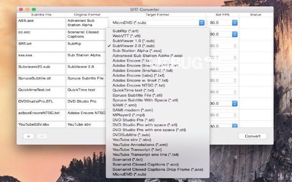 SRT Converter(SRT字幕轉(zhuǎn)換器)v2.1.3 Mac版【2】