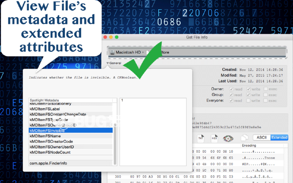 Get File Info Mac版