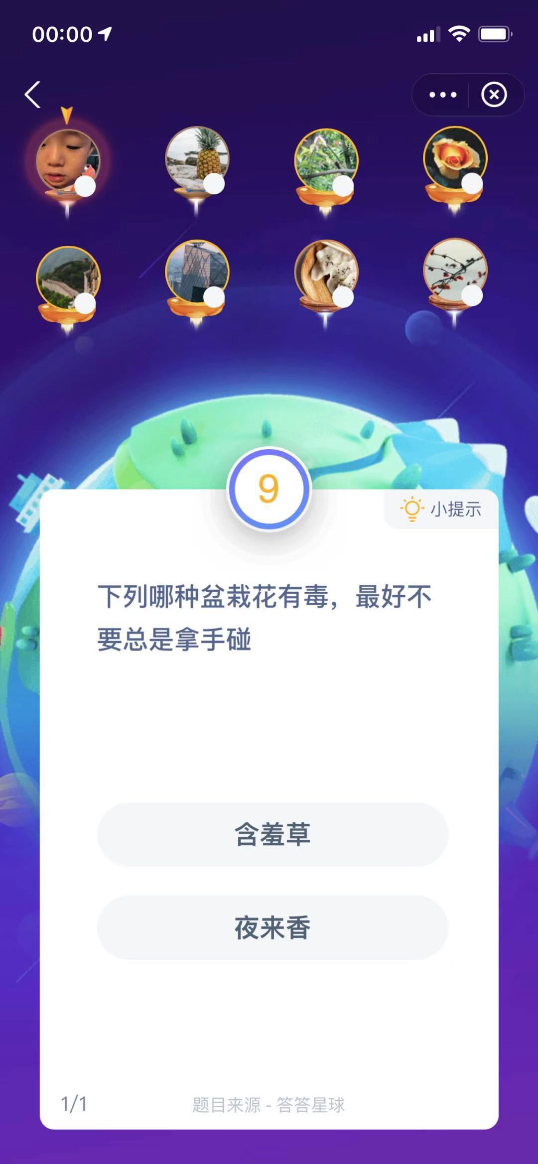 支付寶螞蟻莊園小課堂下列哪種盆栽花有毒，最好不要總是拿手碰