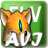 Bluefox FLV to AVI Converter v3.01免費(fèi)版