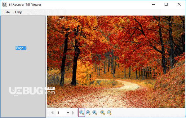 BitRecover Tiff Viewer(TIFF文件查看器)v2.2免費(fèi)版【2】