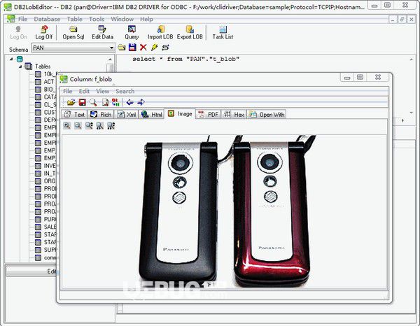 DB2LobEditor(db2數(shù)據(jù)庫編輯工具)