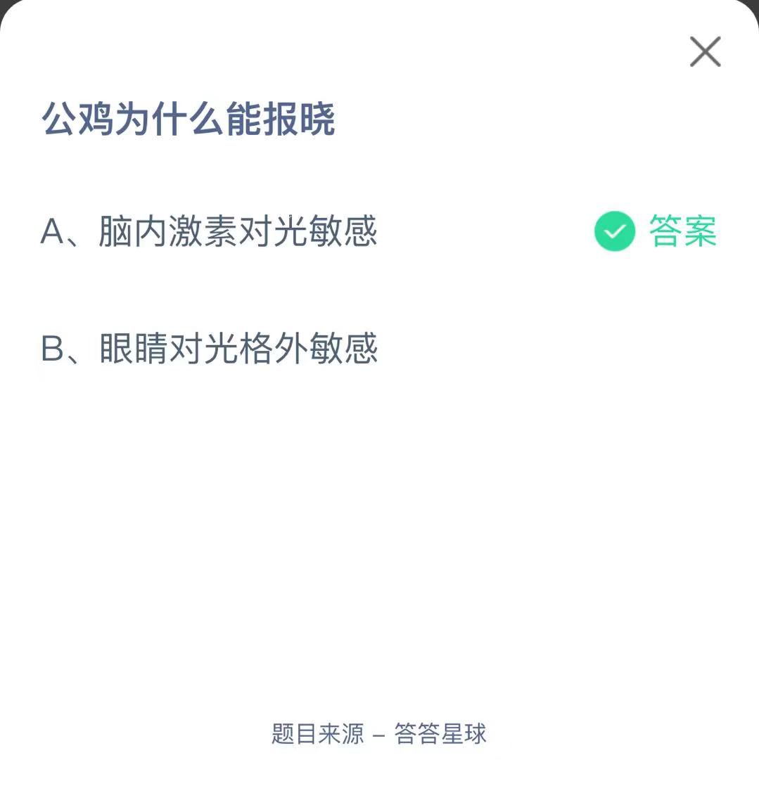 支付寶螞蟻莊園小課堂公雞為什么能報曉