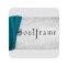 Soulframe v1.0