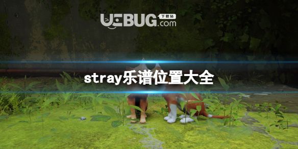 《迷失》stray樂譜有什么用？樂譜位置全集