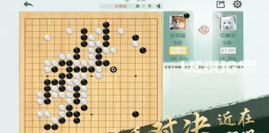 騰訊圍棋野狐 v4.9.004