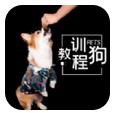 訓(xùn)狗教程大全 v1.0.7 安卓版