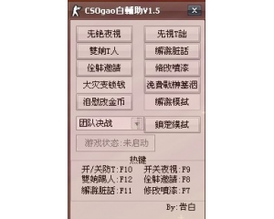 CSO告白輔助V1.5 全功能版下載