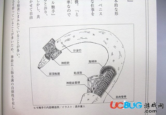 五一勞動節(jié)要到了,各種福利、歡樂、內(nèi)涵爆笑圖集錦分享【3】