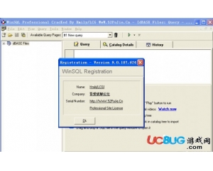 WinSQL Professional(數(shù)據(jù)庫管理工具)v9.0.107.624 破解版