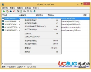 VideoCacheView(瀏覽器視頻緩存提取工具)v2.88漢化綠色版
