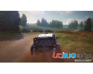 《世界汽車?yán)﹀\標(biāo)賽5(WRC 5)》調(diào)用DX11方法