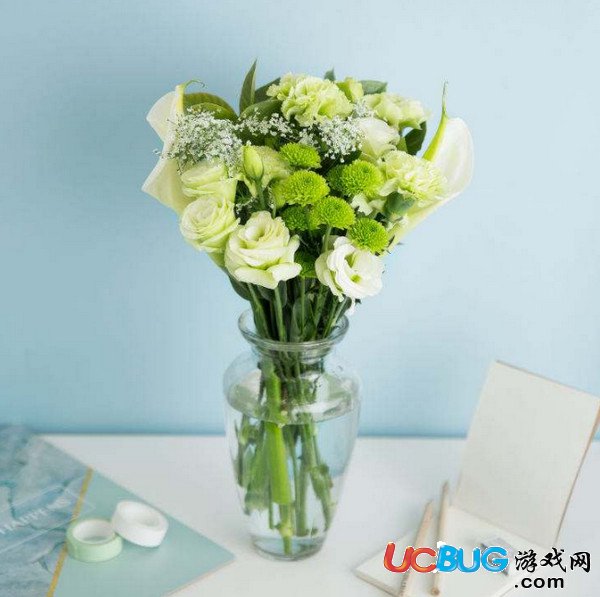 花點(diǎn)時(shí)間和flowerplus哪個(gè)比較好