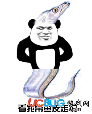 網(wǎng)絡(luò)熱詞"胡可凍帶魚"是什么意思