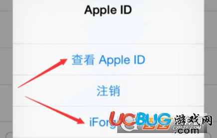 《iphone手機(jī)》ID賬號(hào)被盜怎么解決