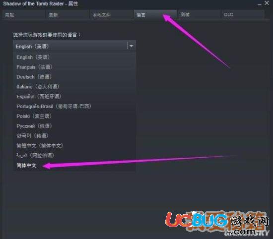 《古墓麗影暗影》游戲怎么設(shè)置中文
