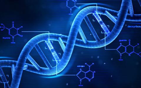 生物年齡